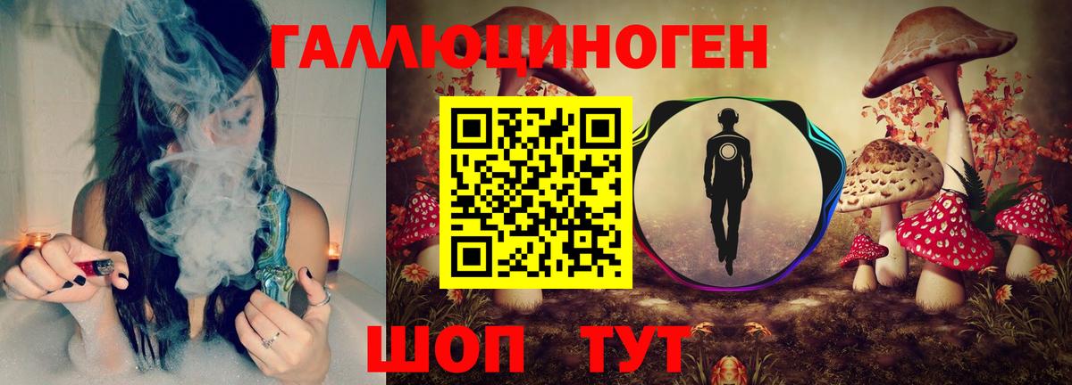 Отрадный  Псилоцибиновые грибы Magic Shrooms  Псилоцибиновые грибы Magic Shrooms  купить   Вход с VPN 